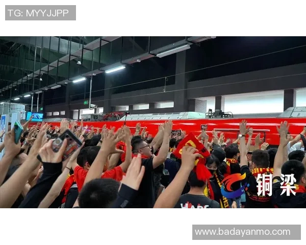 重庆乒乓球队节奏争议引发热议球迷与专家各抒己见探讨未来发展